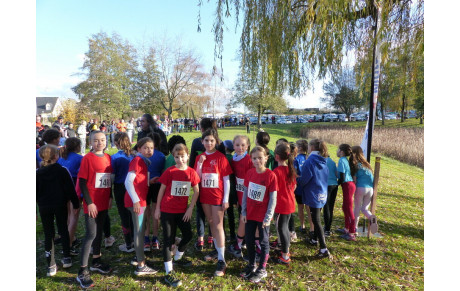 Cross Jeunes USSB - Les résultats